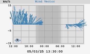 Wind Vector