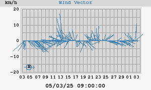 Wind Vector