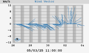 Wind Vector